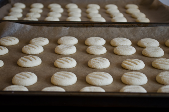 baked-cookies Lined baking sheets of cookies.