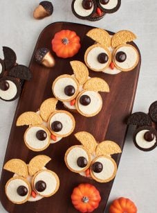chocolate and vanilla owl cupcakes with mini pumpkins