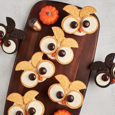 chocolate and vanilla owl cupcakes with mini pumpkins