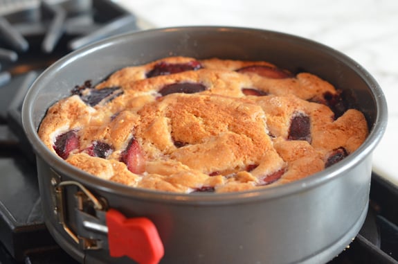 Plum cake in a springform pan.