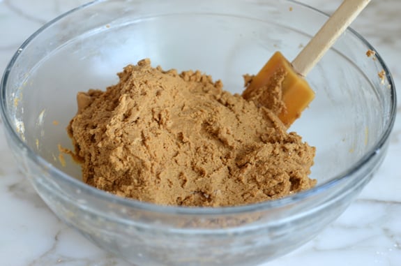 sticky gingerbread cookie dough