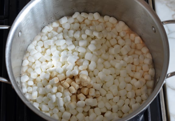 Marshmallows, vanilla, and salt in a pot.