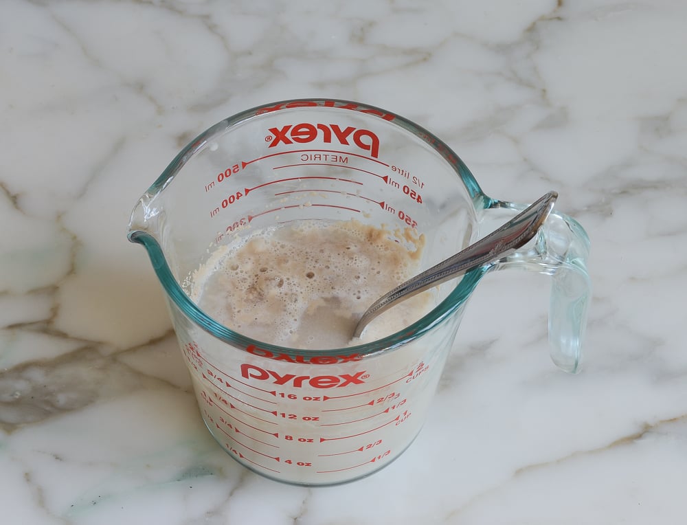 Yeast and water mixture in a measuring cup.