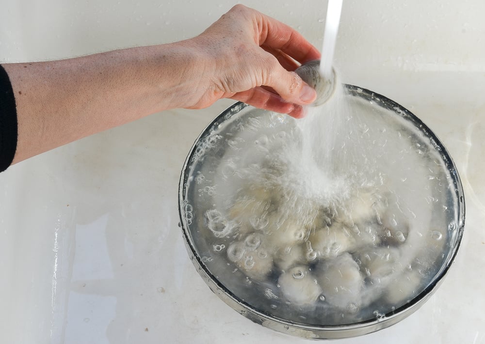 Person rinsing clams in running water.