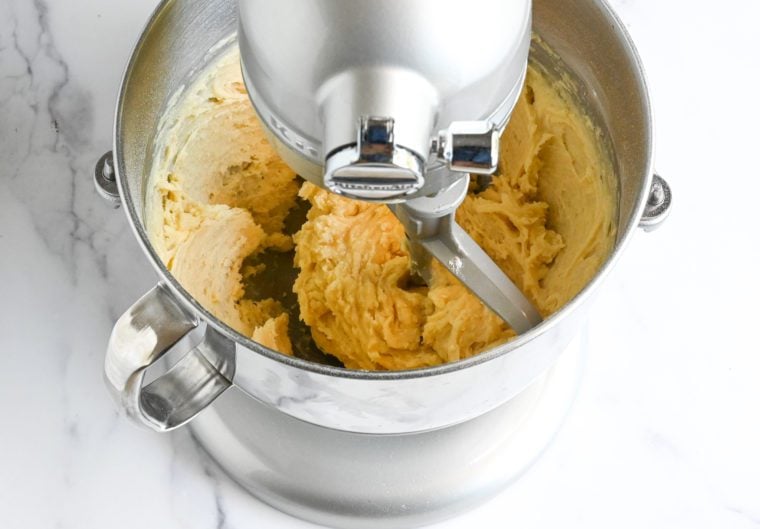 moistened vanilla cupcake batter