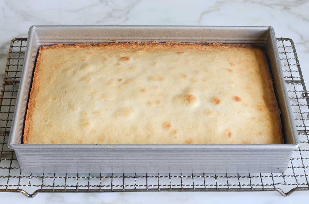 Baked cake in a cake pan.