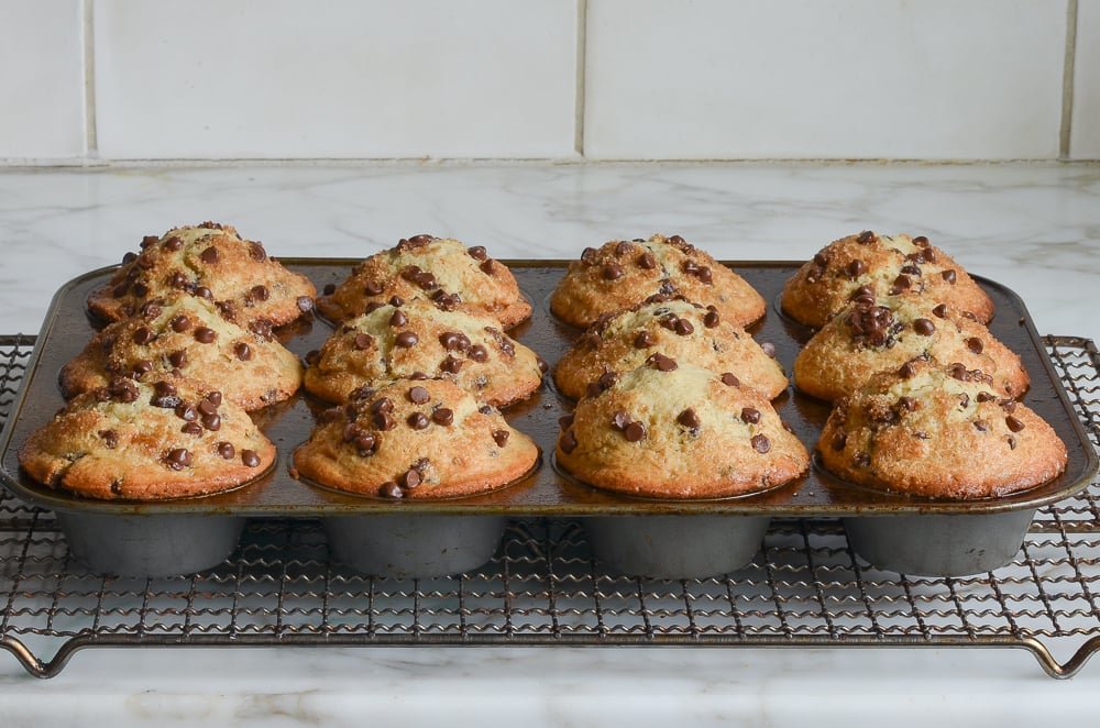chocolate chip muffins fresh out of the oven