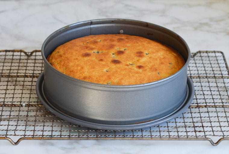 baked chocolate chip ricotta cake