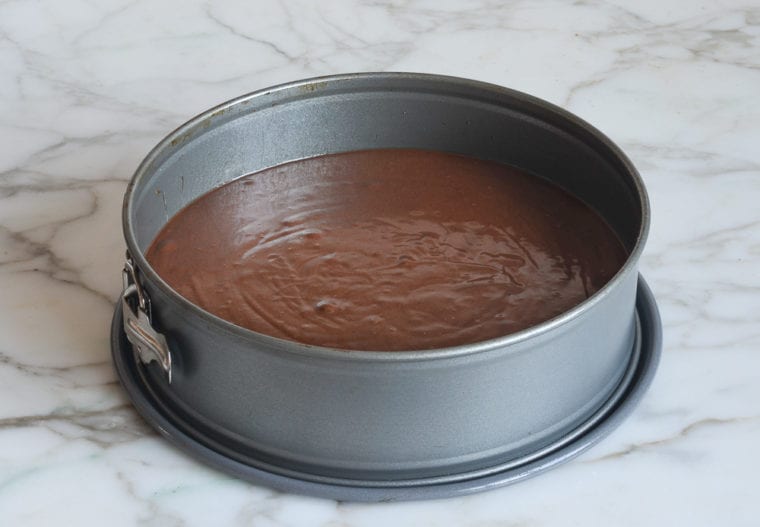 batter poured into springform pan
