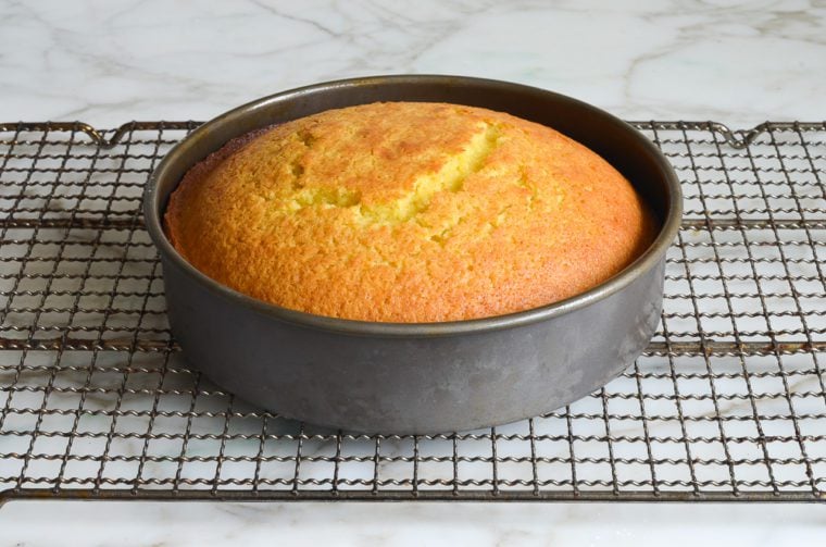 olive oil cake resting on rack (in pan)