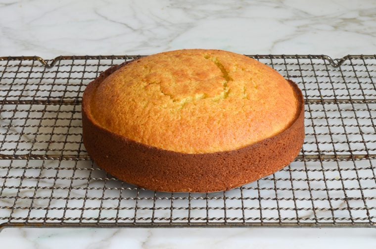 olive oil cake cooling on rack
