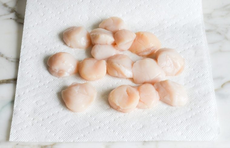 Scallops on paper towels.