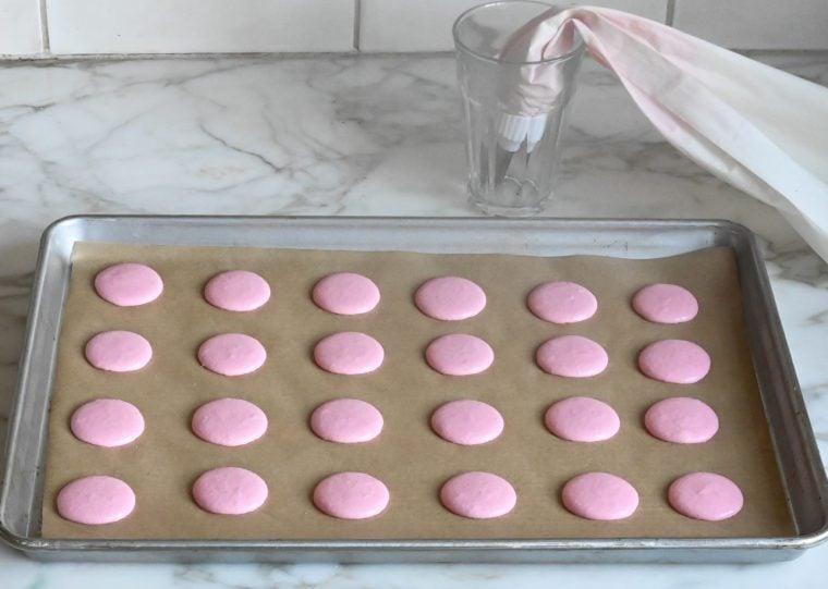 piped macarons on baking sheet