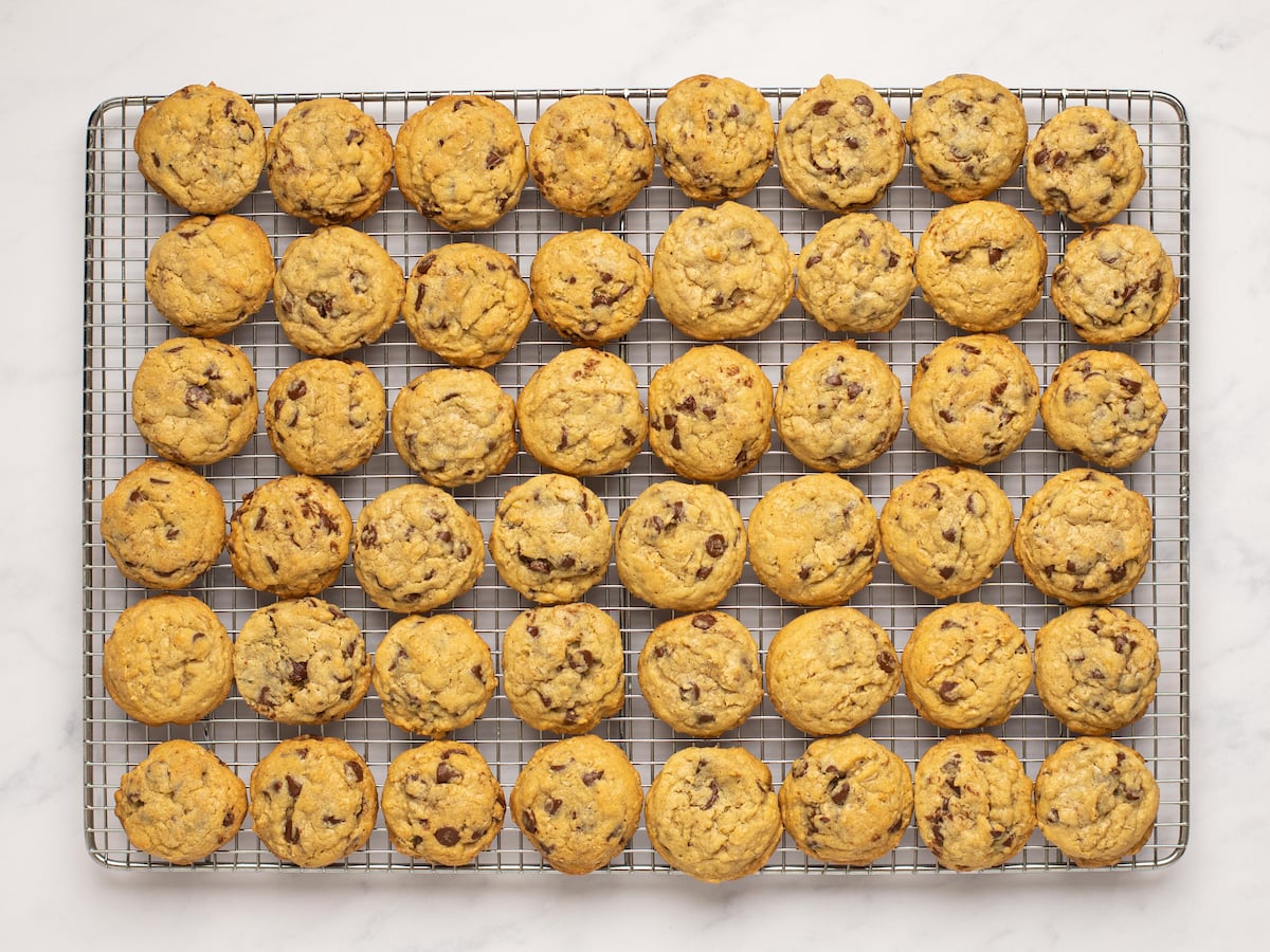 chocolate chip oatmeal cookies on cooling rack