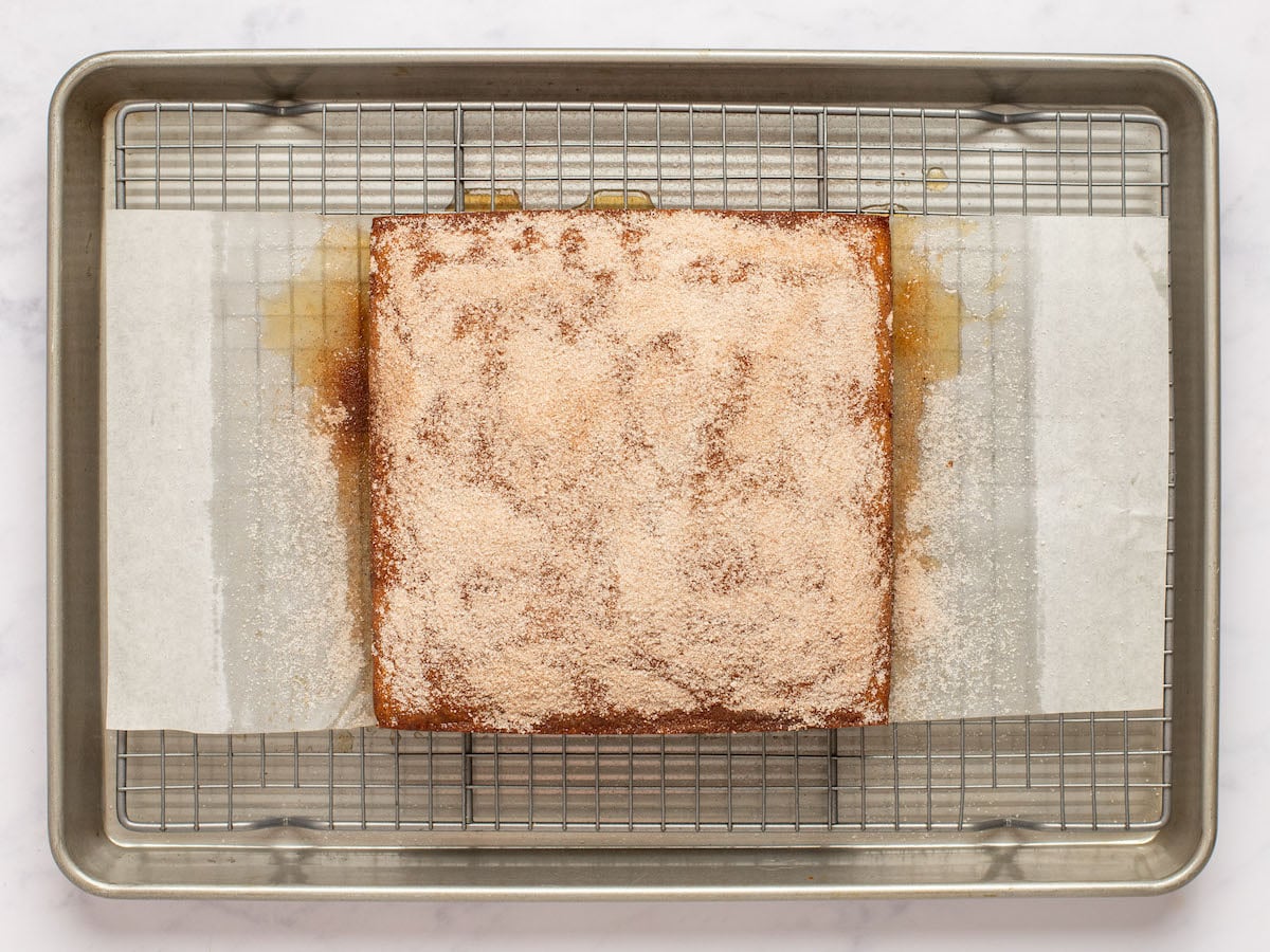 cake dusted with cinnamon sugar