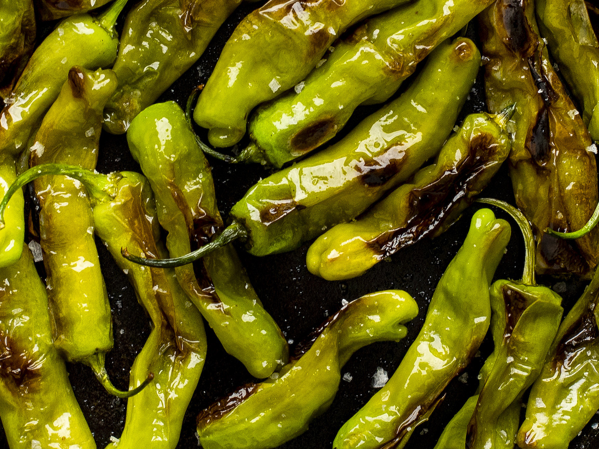 blistered shishito pepppers.