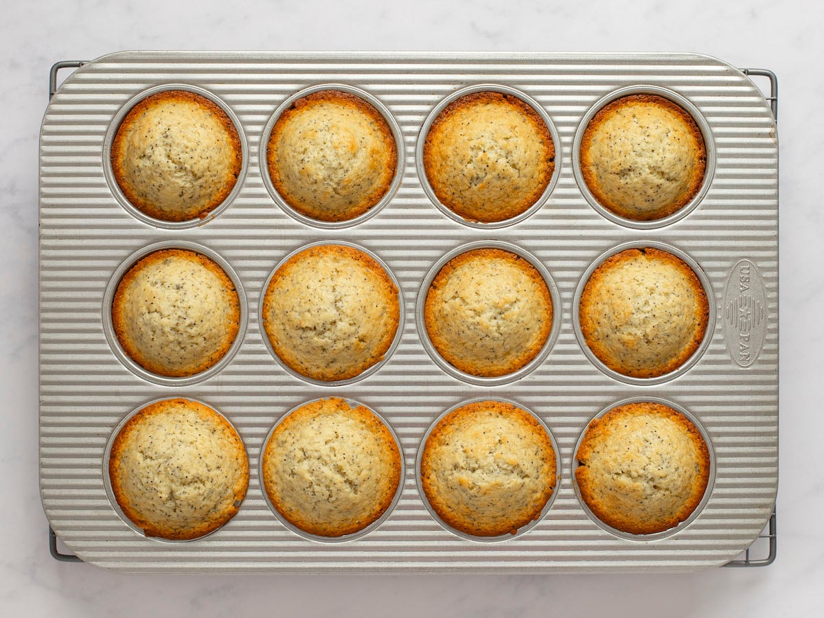 baked muffins in muffin tin